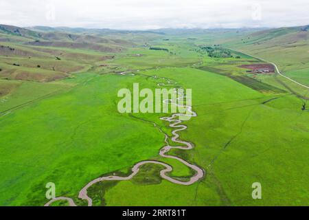 230705 -- HINGGAN LEAGUE, 5 luglio 2023 -- questa foto aerea scattata il 5 luglio 2023 mostra il paesaggio estivo della prateria Ulan Mod a Horqin Right Wing Front Banner della Hinggan League, nella regione autonoma della Mongolia interna della Cina settentrionale. CHINA-INNER MONGOLIA-HINGGAN LEAGUE-ULAN MOD GRASSLAND-LANDSCAPE CN LIXZHIPENG PUBLICATIONXNOTXINXCHN Foto Stock
