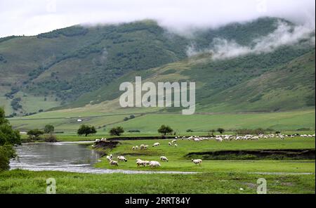 230705 -- HINGGAN LEAGUE, 5 luglio 2023 -- questa foto scattata il 5 luglio 2023 mostra lo scenario estivo della prateria Ulan Mod nella Horqin Right Wing Front Banner della Hinggan League, nella regione autonoma della Mongolia interna della Cina settentrionale. CHINA-INNER MONGOLIA-HINGGAN LEAGUE-ULAN MOD GRASSLAND-LANDSCAPE CN BEIXHE PUBLICATIONXNOTXINXCHN Foto Stock