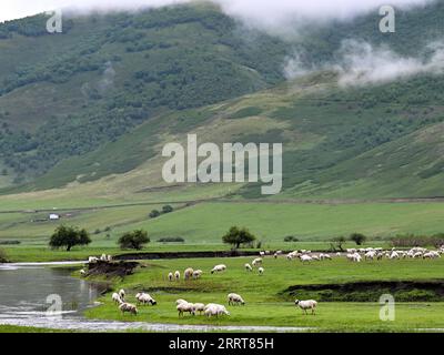 230705 -- HINGGAN LEAGUE, 5 luglio 2023 -- questa foto scattata il 5 luglio 2023 mostra lo scenario estivo della prateria Ulan Mod nella Horqin Right Wing Front Banner della Hinggan League, nella regione autonoma della Mongolia interna della Cina settentrionale. CHINA-INNER MONGOLIA-HINGGAN LEAGUE-ULAN MOD GRASSLAND-LANDSCAPE CN BEIXHE PUBLICATIONXNOTXINXCHN Foto Stock