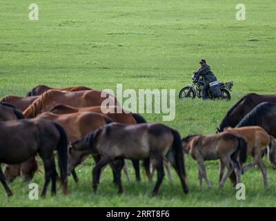 230706 -- TONGLIAO, 6 luglio 2023 -- questa foto scattata il 5 luglio 2023 mostra un allevatore di cavalli sulle praterie di Holin Gol, nella regione autonoma della Mongolia interna della Cina settentrionale. La pittoresca prateria di Holin Gol, situata all'incrocio tra la prateria di Horqin, la prateria di Xilin Gol e la prateria di Hulunbuir, è una delle praterie primitive della regione autonoma della Mongolia interna. CHINA-INNER MONGOLIA-HOLIN GOL-GRASSLAND CN LIANXZHEN PUBLICATIONXNOTXINXCHN Foto Stock