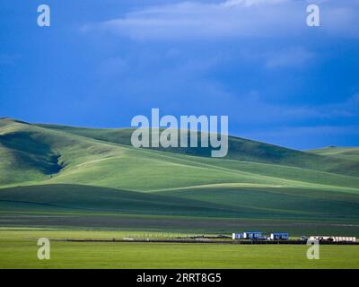 230706 -- TONGLIAO, 6 luglio 2023 -- questa foto scattata il 5 luglio 2023 mostra il paesaggio della prateria a Holin Gol, nella regione autonoma della Mongolia interna della Cina settentrionale. La pittoresca prateria di Holin Gol, situata all'incrocio tra la prateria di Horqin, la prateria di Xilin Gol e la prateria di Hulunbuir, è una delle praterie primitive della regione autonoma della Mongolia interna. CHINA-INNER MONGOLIA-HOLIN GOL-GRASSLAND CN LIANXZHEN PUBLICATIONXNOTXINXCHN Foto Stock