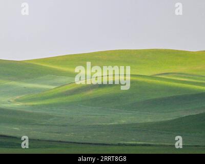 230706 -- TONGLIAO, 6 luglio 2023 -- questa foto scattata il 5 luglio 2023 mostra il paesaggio della prateria a Holin Gol, nella regione autonoma della Mongolia interna della Cina settentrionale. La pittoresca prateria di Holin Gol, situata all'incrocio tra la prateria di Horqin, la prateria di Xilin Gol e la prateria di Hulunbuir, è una delle praterie primitive della regione autonoma della Mongolia interna. CHINA-INNER MONGOLIA-HOLIN GOL-GRASSLAND CN LIANXZHEN PUBLICATIONXNOTXINXCHN Foto Stock