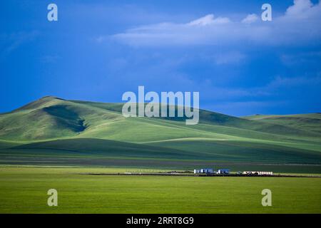 230706 -- TONGLIAO, 6 luglio 2023 -- questa foto scattata il 5 luglio 2023 mostra il paesaggio della prateria a Holin Gol, nella regione autonoma della Mongolia interna della Cina settentrionale. La pittoresca prateria di Holin Gol, situata all'incrocio tra la prateria di Horqin, la prateria di Xilin Gol e la prateria di Hulunbuir, è una delle praterie primitive della regione autonoma della Mongolia interna. CHINA-INNER MONGOLIA-HOLIN GOL-GRASSLAND CN LIANXZHEN PUBLICATIONXNOTXINXCHN Foto Stock