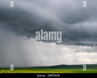 230706 -- TONGLIAO, 6 luglio 2023 -- questa foto scattata il 5 luglio 2023 mostra il paesaggio della prateria a Holin Gol, nella regione autonoma della Mongolia interna della Cina settentrionale. La pittoresca prateria di Holin Gol, situata all'incrocio tra la prateria di Horqin, la prateria di Xilin Gol e la prateria di Hulunbuir, è una delle praterie primitive della regione autonoma della Mongolia interna. CHINA-INNER MONGOLIA-HOLIN GOL-GRASSLAND CN LIANXZHEN PUBLICATIONXNOTXINXCHN Foto Stock