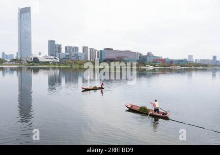230713 -- CHENGDU, 13 luglio 2023 -- i lavoratori raccolgono impianti d'acqua sul lago Xinglong nella nuova area di Tianfu, nella provincia del Sichuan della Cina sud-occidentale, 21 settembre 2022. Il fiume Jinjiang attraversa la parte centrale di Chengdu, contribuendo alla fama e al fascino dei molti eventi storici e culturali di Chengdu. Ha due corsi d'acqua principali chiamati fiume Fuhe e fiume Nanhe. Partendo da Dujiangyan, il fiume di 150 km va in uscita dal distretto di Shuangliu. Nel febbraio del 2016, il governo locale di Chengdu ha implementato dieci regolamenti sul controllo delle acque. Nel 2017, la città ha avviato un programma sulla gestione dell'ecologia delle acque e.. Foto Stock
