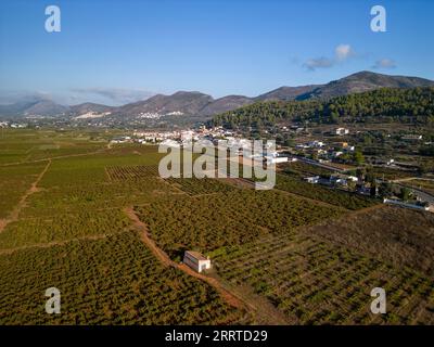 I campi di vigneti nel villaggio di Lliber, Costa Blanca, Spagna - foto ufficiale Foto Stock