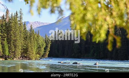 230720 -- BURQIN, 20 luglio 2023 -- questa foto scattata il 19 luglio 2023 mostra il paesaggio dell'area panoramica di Kanas nella prefettura di Altay, nella regione autonoma di Xinjiang Uygur della Cina nord-occidentale. L'area panoramica di Kanas è entrata nella stagione turistica di punta in estate. Fino al 18 luglio ha ricevuto oltre 1,55 milioni di turisti quest'anno, secondo l'autorità locale. CHINA-XINJIANG-KANAS-TOURISMCN DingxLei PUBLICATIONxNOTxINxCHN Foto Stock