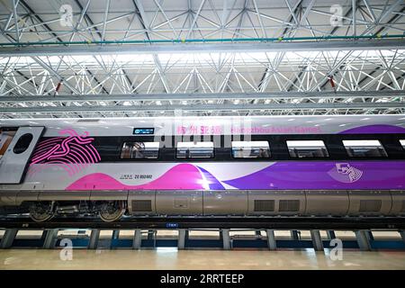 230721 -- CHANGCHUN, 21 luglio 2023 -- questa foto scattata il 21 luglio 2023 mostra la vista esterna del treno proiettile Fuxing appositamente progettato per i Giochi asiatici di Hangzhou a Changchun, nella provincia di Jilin della Cina nordorientale. Il treno è partito a Changchun venerdì. CHINA-JILIN-CHANGCHUN-BULLET TRAIN-ASIAN GAMES CN YANXLINYUN PUBLICATIONXNOTXINXCHN Foto Stock