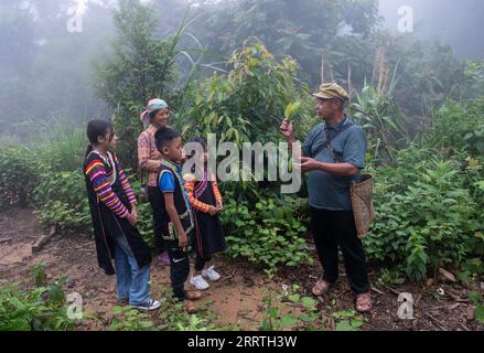 230726 -- JINPING, 26 luglio 2023 -- Zhang Puzhong 1st R riassume i suoi nipoti sulle medicine a base di erbe nella foresta vicino al villaggio di Xiaxinzhai, Zhemi Township, Jinping County, Honghe Hani e Yi Prefettura autonoma, provincia dello Yunnan della Cina sud-occidentale, 23 luglio 2023. Dopo giorni di riflessione, Zhang Puzhong decise di fare qualcosa di istruttivo ai suoi nipoti: Riportarli nella foresta che abitava da bambino più di 60 anni fa. Questo è molto importante. So quanto sono felice oggi perché non dimentico mai quanto fosse amara la mia vita in passato, ha detto Zhang. Zhang è un Kucong di 70 anni Foto Stock