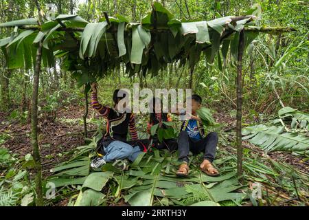 230726 -- JINPING, 26 luglio 2023 -- i nipoti di Zhang Puzhong si divertono sotto un capannone di foglie di banana costruito da Zhang nella foresta vicino al villaggio di Xiaxinzhai, Zhemi Township, Jinping County, Honghe Hani e Yi, provincia dello Yunnan della Cina sud-occidentale, 23 luglio 2023. Dopo giorni di riflessione, Zhang Puzhong decise di fare qualcosa di istruttivo ai suoi nipoti: Riportarli nella foresta che abitava da bambino più di 60 anni fa. Questo è molto importante. So quanto sono felice oggi perché non dimentico mai quanto fosse amara la mia vita in passato, ha detto Zhang. Zhang è un 70-year-ol Foto Stock