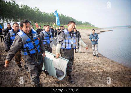 230727 -- WUHAN, 27 luglio 2023 -- i membri del personale trasferiscono una fossa dello Yangtze in una sezione del fiume Yangtze e la rilasciano lì nella provincia centrale di Hubei della Cina, il 25 aprile 2023. Tre generazioni di ricercatori presso l'Istituto di idrobiologia, l'Accademia cinese delle scienze CAS hanno trascorso decenni a salvare e curare specie a rischio: Il delfino Baiji e la porcellina senza pinne Yangtze. Quest'ultimo è soprannominato l'angelo sorridente del fiume Yangtze, in quanto le sue labbra leggermente ricciose assomigliano a quelle di una persona sorridente. Il delfino Baiji Qi Qi è morto nel luglio 2002 dopo aver vissuto per più di 22 anni Foto Stock