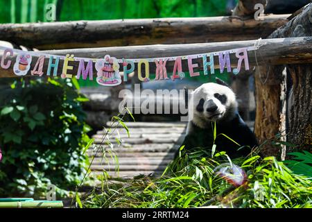 230730 -- MOSCA, 30 luglio 2023 -- il panda gigante Dingding è visto durante la celebrazione del suo compleanno allo zoo di Mosca, capitale della Russia, 30 luglio 2023. Due panda giganti cinesi, Ruyi e Dingding, che vivono allo zoo di Mosca dal 2019, hanno festeggiato il loro compleanno in Russia domenica. RUSSIA-MOSCA-PANDA GIGANTE-COMPLEANNO CaoxYang PUBLICATIONxNOTxINxCHN Foto Stock