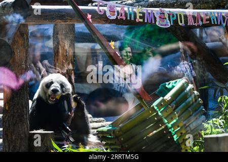 230730 -- MOSCA, 30 luglio 2023 -- panda gigante Dingding mangia bambù durante la sua festa di compleanno allo zoo di Mosca, capitale della Russia, 30 luglio 2023. Due panda giganti cinesi, Ruyi e Dingding, che vivono allo zoo di Mosca dal 2019, hanno festeggiato il loro compleanno in Russia domenica. RUSSIA-MOSCA-PANDA GIGANTE-COMPLEANNO CaoxYang PUBLICATIONxNOTxINxCHN Foto Stock