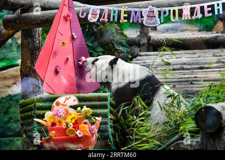 230730 -- MOSCA, 30 luglio 2023 -- il panda gigante Dingding è visto durante la celebrazione del suo compleanno allo zoo di Mosca, capitale della Russia, 30 luglio 2023. Due panda giganti cinesi, Ruyi e Dingding, che vivono allo zoo di Mosca dal 2019, hanno festeggiato il loro compleanno in Russia domenica. RUSSIA-MOSCA-PANDA GIGANTE-COMPLEANNO CaoxYang PUBLICATIONxNOTxINxCHN Foto Stock