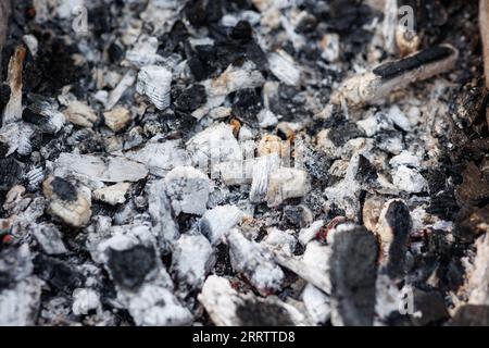 Carbone per cucinare shish kebab e barbecue. Carboni caldi e cenere bollenti mostrano la texture della superficie artistica. Messa a fuoco selettiva. Foto Stock