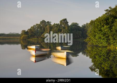 Loch Achy, i Trossachs, Scozia Foto Stock