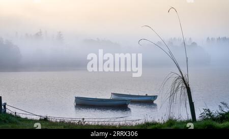 Loch Achy, i Trossachs, Scozia Foto Stock