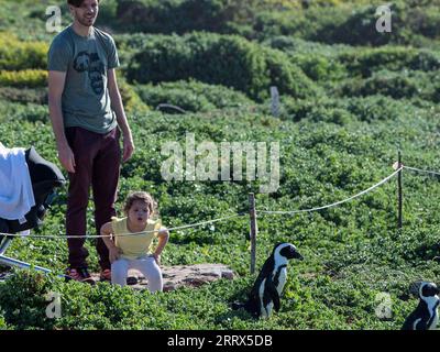 230818 -- BETTY S BAY, 18 agosto 2023 -- turisti guardano i pinguini africani alla riserva naturale di Stony Point a Betty S Bay, Western Cape Province, Sudafrica, 30 marzo 2019. Il Sudafrica, che terrà il 15° vertice BRICS questo mese, è il paese più meridionale dell'Africa. È l'unico paese al mondo con tre capitali, con Pretoria come capitale amministrativa, città del Capo come capitale legislativa e Bloemfontein la capitale giudiziaria. Altre grandi città sono Johannesburg e Durban. Il Sudafrica ha un clima piacevole e famose destinazioni turistiche come Capo di buona speranza, Kru Foto Stock