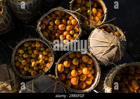 Frutta fresca alle arance mandarine o mandarini in cesti di bambù in vimini da vendere al mercato di Zay Cho in mandarino, foto a contrasto con tonalità scure Foto Stock