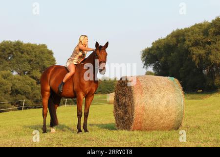 Signora giri a cavallo nei pressi di haybale nel giorno di estate Foto Stock