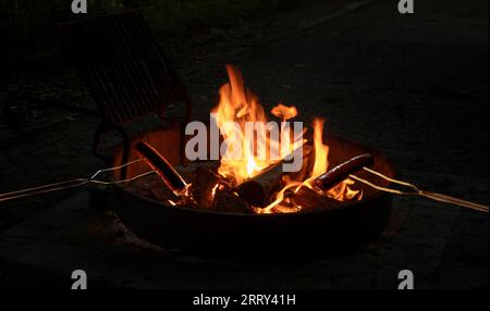 Fuoco da campeggio in un anello di fuoco da campo con fiamme e un paio di hot dog su spiedini di metallo che vengono cotti nel fuoco mentre il campeggio diventa buio poco prima della sera Foto Stock