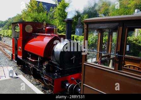 New FALCON No.10 at Corris Railway, Gwynedd WALES UK Foto Stock