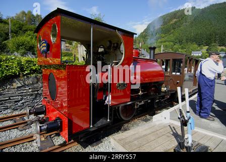 New FALCON No.10 at Corris Railway, Gwynedd WALES UK Foto Stock