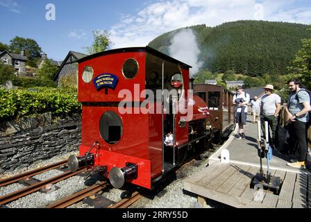 New FALCON No.10 at Corris Railway, Gwynedd WALES UK Foto Stock