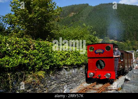 New FALCON No.10 at Corris Railway, Gwynedd WALES UK Foto Stock