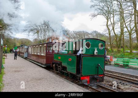 La guardia ondeggia la bandiera verde come un treno a vapore a scartamento ridotto trainato da "Axe", che parte dalla stazione di Woody Bay sulla Lynton and Barnstaple Railway, Devon, Regno Unito Foto Stock