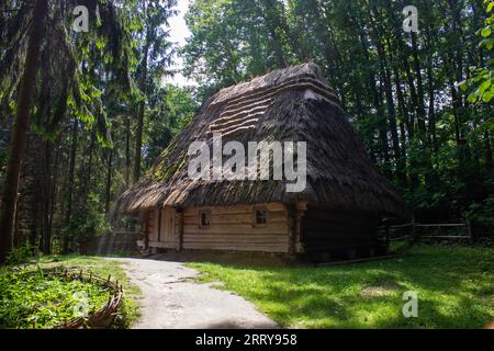 il sentiero conduce ad un'antica casa di argilla con un tetto di paglia in legno nella foresta Foto Stock