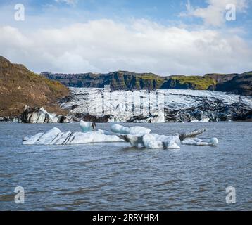 Solheimajokull pittoresco ghiacciaio nel sud dell'Islanda. La lingua di questo ghiacciaio scivola dal vulcano Katla. Bellissima laguna glaciale con lago b Foto Stock