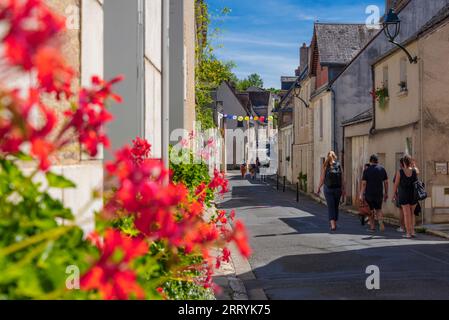 Amboise, Valle della Loira, Francia - 2 settembre 2023: Ampia vista della via Victor Hugo e dei turisti che viaggiano verso il Museo Leonardo da Vinci in un soleggiato Foto Stock