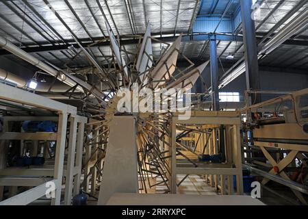 I lavoratori controllano i macchinari per produrre lastre sulla linea di produzione Foto Stock