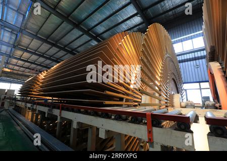 I lavoratori controllano i macchinari per produrre lastre sulla linea di produzione Foto Stock