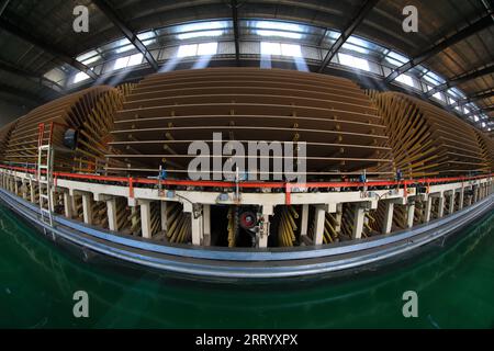 I lavoratori controllano i macchinari per produrre lastre sulla linea di produzione Foto Stock