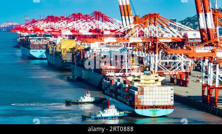 SHANGHAI, CINA - 9 SETTEMBRE 2023 - diverse grandi navi portacontainer effettuano operazioni di movimentazione container presso il terminal i del porto di acque profonde di Yangshan Foto Stock