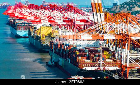 SHANGHAI, CINA - 9 SETTEMBRE 2023 - diverse grandi navi portacontainer effettuano operazioni di movimentazione container presso il terminal i del porto di acque profonde di Yangshan Foto Stock