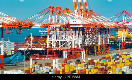 SHANGHAI, CINA - 9 SETTEMBRE 2023 - diverse grandi navi portacontainer effettuano operazioni di movimentazione container presso il terminal i del porto di acque profonde di Yangshan Foto Stock