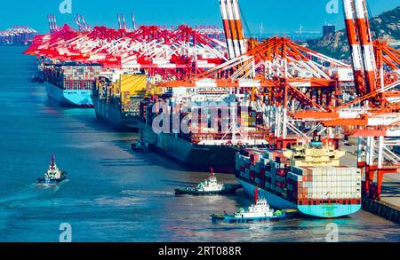 SHANGHAI, CINA - 9 SETTEMBRE 2023 - diverse grandi navi portacontainer effettuano operazioni di movimentazione container presso il terminal i del porto di acque profonde di Yangshan Foto Stock