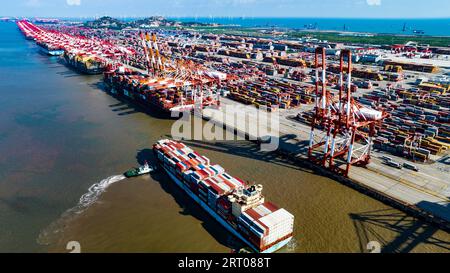 SHANGHAI, CINA - 9 SETTEMBRE 2023 - diverse grandi navi portacontainer effettuano operazioni di movimentazione container presso il terminal i del porto di acque profonde di Yangshan Foto Stock