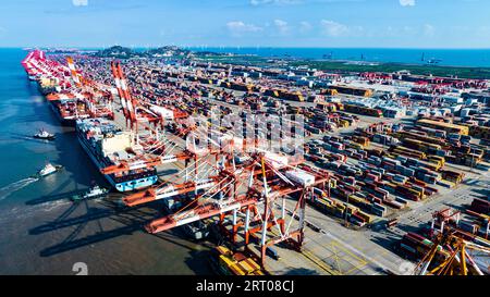 SHANGHAI, CINA - 9 SETTEMBRE 2023 - diverse grandi navi portacontainer effettuano operazioni di movimentazione container presso il terminal i del porto di acque profonde di Yangshan Foto Stock