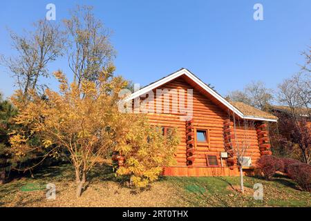 Le cabine si trovano nel giardino botanico Foto Stock