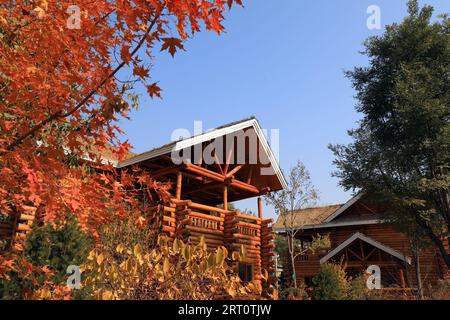 Le cabine si trovano nel giardino botanico Foto Stock