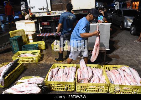 Belem, Brasile. 9 settembre 2023. Un pescatore tiene il pesce al mercato del pesce di Ver-o-peso a Belem, stato di Para, Brasile, 9 settembre 2023. Crediti: Lucio Tavora/Xinhua/Alamy Live News Foto Stock