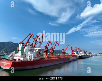 Lianyungang, Cina. 10 settembre 2023. LIANYUNGANG, CINA - 10 SETTEMBRE 2023 - Una nave da carico sta scaricando un lotto di carbone elettrico presso il terminal portuale per il carbone a Lianyungang, provincia del Jiangsu della Cina orientale, 10 settembre 2023. (Foto di Costfoto/NurPhoto) credito: NurPhoto SRL/Alamy Live News Foto Stock