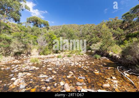 Dintorni idilliaci intorno al circuito di Lerderderg Gorge in una calda giornata autunnale nella parte occidentale di Melbourne, Victoria, Australia Foto Stock