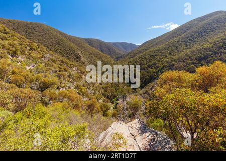 Dintorni idilliaci intorno al circuito di Lerderderg Gorge in una calda giornata autunnale nella parte occidentale di Melbourne, Victoria, Australia Foto Stock