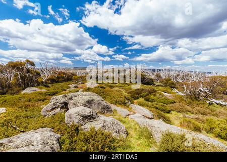 La storica Wallace Hut, la più antica capanna di allevamento rimasta vicino a Falls Creek nelle Alpi Vittoriane, Australia Foto Stock