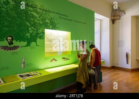 Fuerts Pueckler Park e Bad Muskau Castle, mostra nel castello Foto Stock